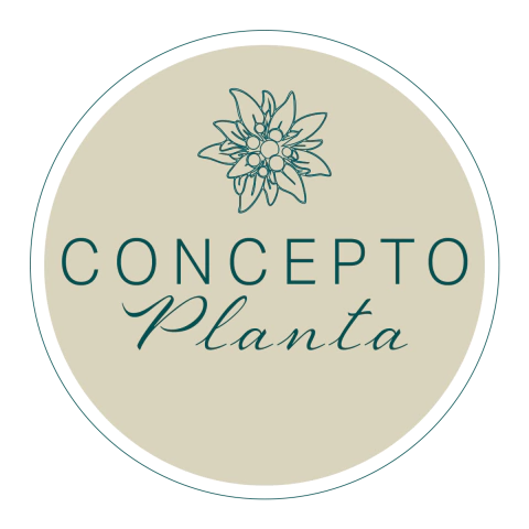 Concepto Planta