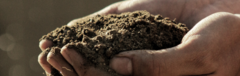 Banner de la categoría División Agro