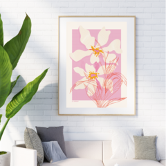 MAGNOLIA ABSTRACTA