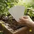 Imagen de Tarjetas plantables personalizadas