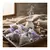Bolsitas de flores de lavanda orgànica x 5 unidades - comprar online