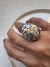 Anillo Terrino