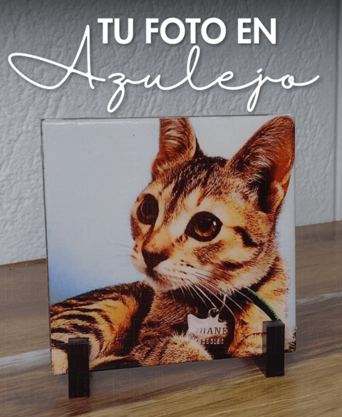 Imagen del carrusel Crear en Azulejos