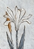 150-537/538