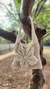 Bolsa Flor Bicolor - comprar online