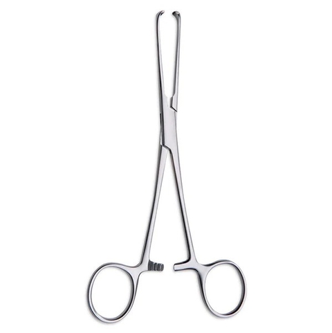 Pinza allis RN Ledesma