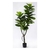 Imagen de Ficus Pandurata Artificial