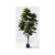 Ficus Pandurata Artificial