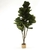 Ficus Pandurata Artificial - tienda online