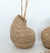Maceta Polly - comprar online