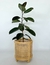 Maceta Vase - comprar online