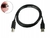 CABO DE IMPRESORA 1,5M KTS USBM - comprar online