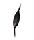 FONE DE OUVIDO HEADSET GAMER EG302/THARDUS COM FIO E CONECTOR XBOX/PS4 EVOLUT - loja online