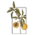 Matriz de Bordado Floral Decorativo (Pontos Leves) 4