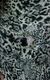 vestido-toque-de-seda-franzido-animal-print-tamanho-m