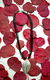 Colar Folha Prateada com Strass - comprar online