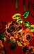 vestido-longo-de-viscolycra-estampada-vermelho-tamanho-g