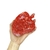 Platito Frutilla