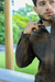 Campera Mrs - comprar online