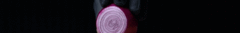 Banner de la categoría VERDURAS