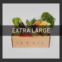 TOMATE BOXson Frutas y Verduras (Extra Large)