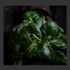 Albahaca (1 Pqte)