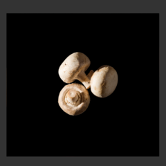 Portobello (180 gr.)