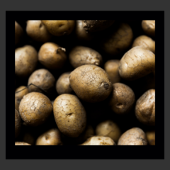 Papines Andinos (1KG)
