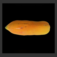 Papaya (1unidad)
