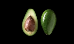 Palta grande ( 1 Und)