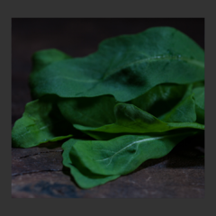 Rúcula Hidroponica (80 Gr.)