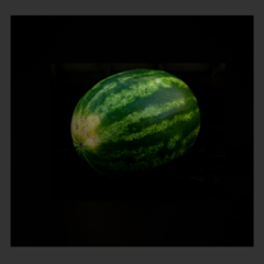 Sandia Baby (4,5 KG aprox)
