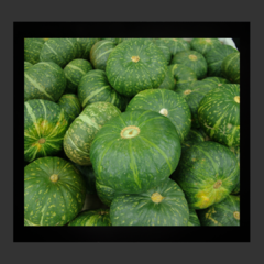 Zapallito (1Kg.)