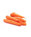 Cenoura (500 g)
