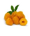 Framboesa Amarela (Bandeja) - comprar online