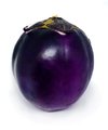 Berinjela Redonda (Bandeja) - comprar online