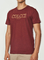Camiseta Colcci na internet