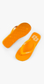 Chinelo Masc Colcci Icone - Loja Colcci Special Store