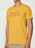 Camiseta Colcci na internet
