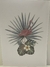 LAMINA SUBLIMACION S/MARCA, HOJAS FLAMENCO 21X30 (CA 95)