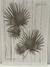 LAMINA SUBLIMACION CAMILA ARTESANIAS, HOJAS 21X30 (CA 53) - comprar online