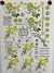 CALCO VITRIFICABLE PORCELANA COLOR FRASES 25X35 (59)