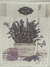 LAMINA SUBLIMACION CAMILA ARTESANIAS, FLORES LAVANDAS 21X30 (CA 04)