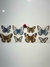 LAMINA TRANSFER UV MARIPOSAS 10X30 (UV M034) CHIC DECO LAMINAS