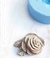 MOLDE DE SILICONA ROSA SHABBY CRAQUELINA (6X6)