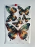 LAMINA TRANSFER COLOR MARIPOSAS 20X30 OUR HOBBY