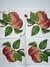 SERVILLETAS DECOUPAGE, COCINA FRUTAS 33X33 (120)