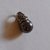 Dije acero Lady Di perla gris (10 mm) - comprar online