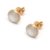 Aros boton centro nacar enchapado en Oro (9 mm)