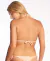 RC G SI = CORP TRI PREMIUM SURF (6531)